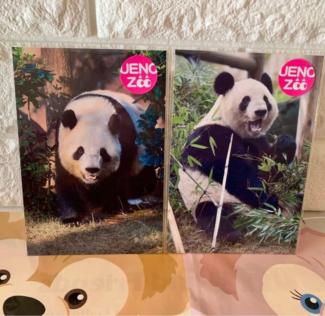 上野動物園 シャオシャオ レイレイ タンブラー 缶バッジ ポストカード