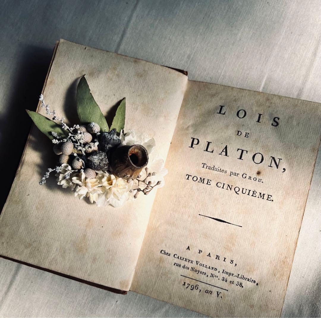 フラワー・ガーデニング corsage no.771