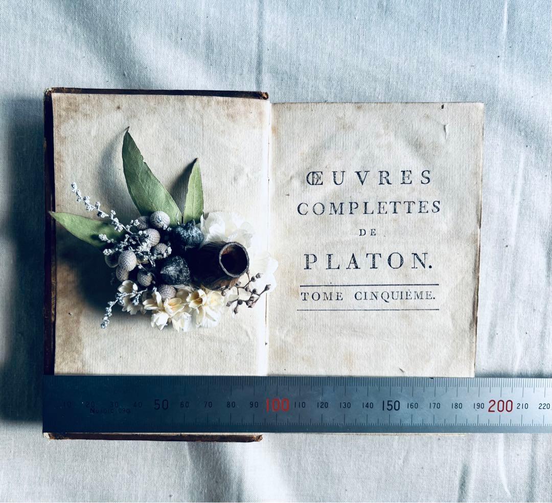 フラワー・ガーデニング corsage no.771