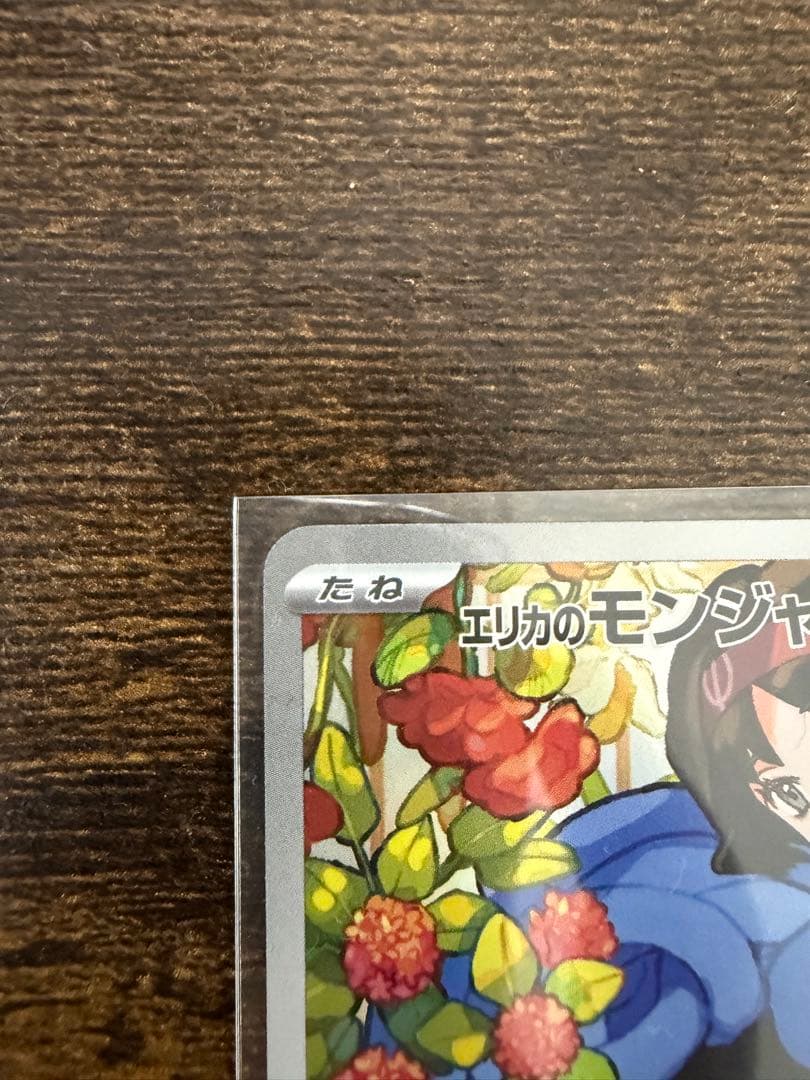 エリカのモンジャラ AR仕様 [MC 743/742](スタートデッキ100）