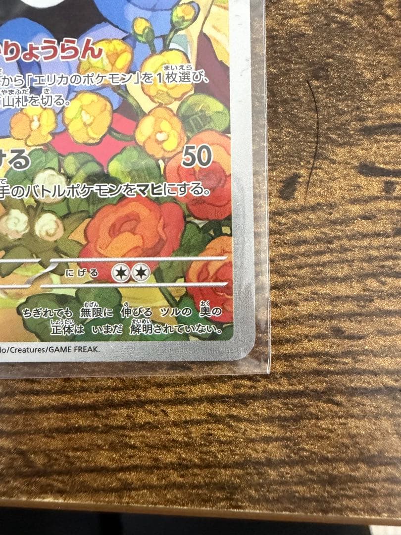 エリカのモンジャラ AR仕様 [MC 743/742](スタートデッキ100）