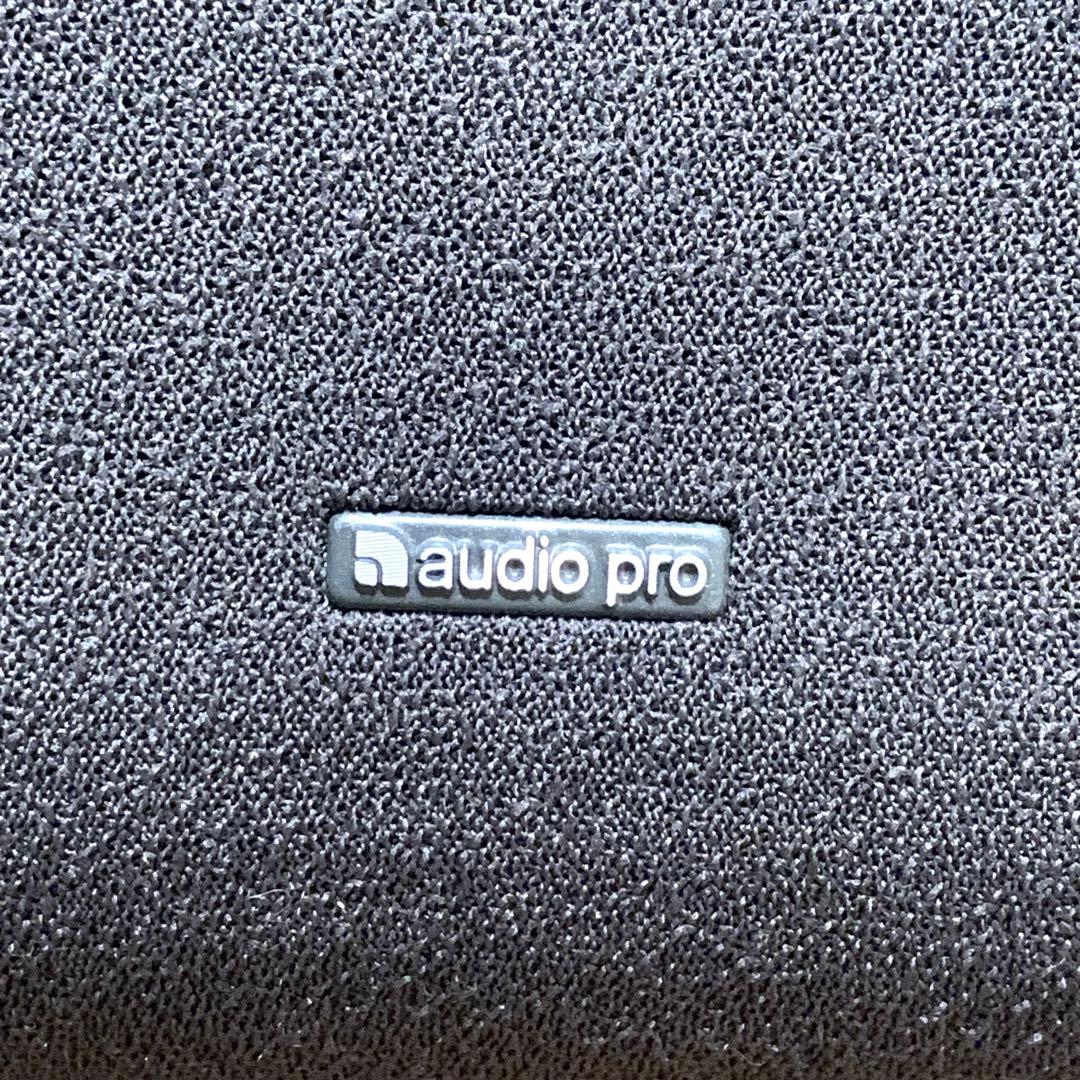 【希少品】スウェーデンaudiopro AVANTI A-20センタースピーカー