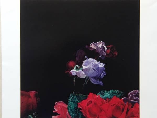 野田弘志、薔薇〈Ⅱ〉、希少画集より、新品額装付