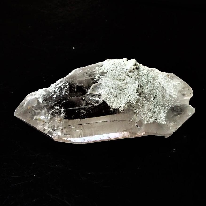 値下しました！ティップリン産ポイント-54-1