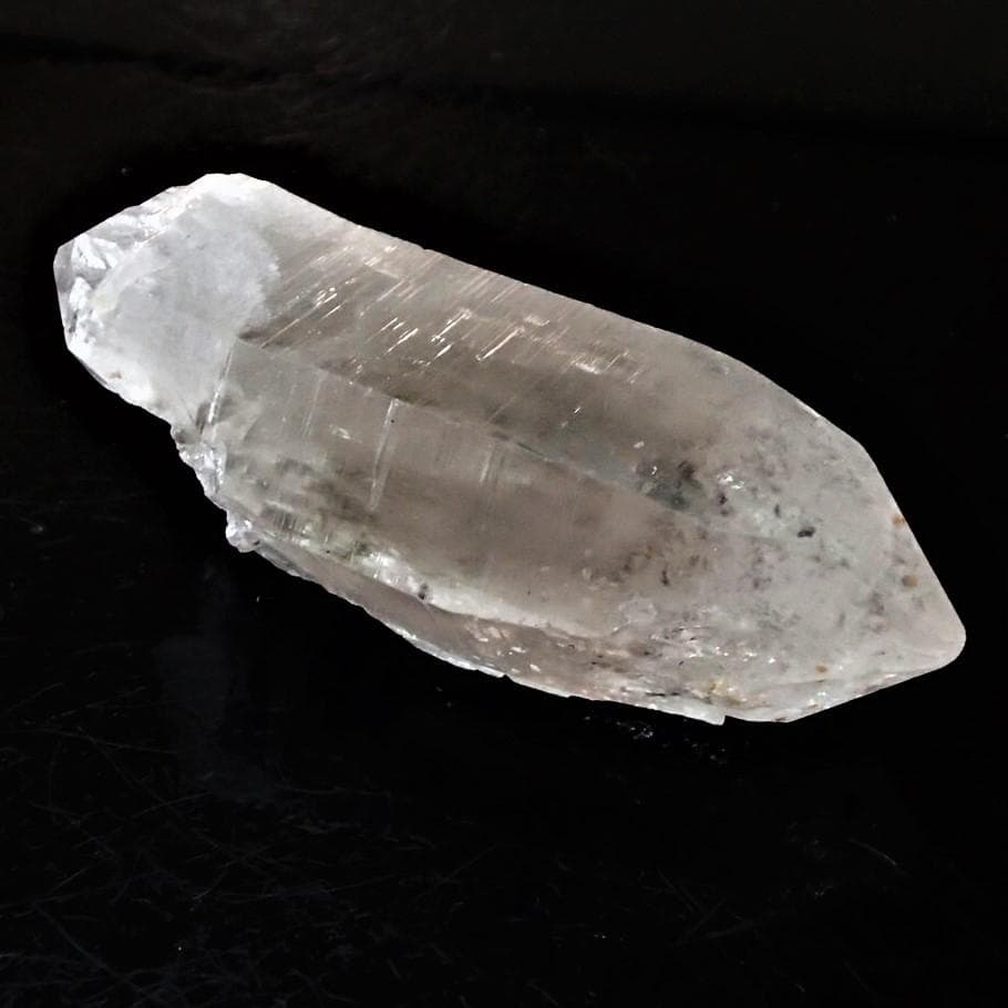 値下しました！ティップリン産ポイント-54-1