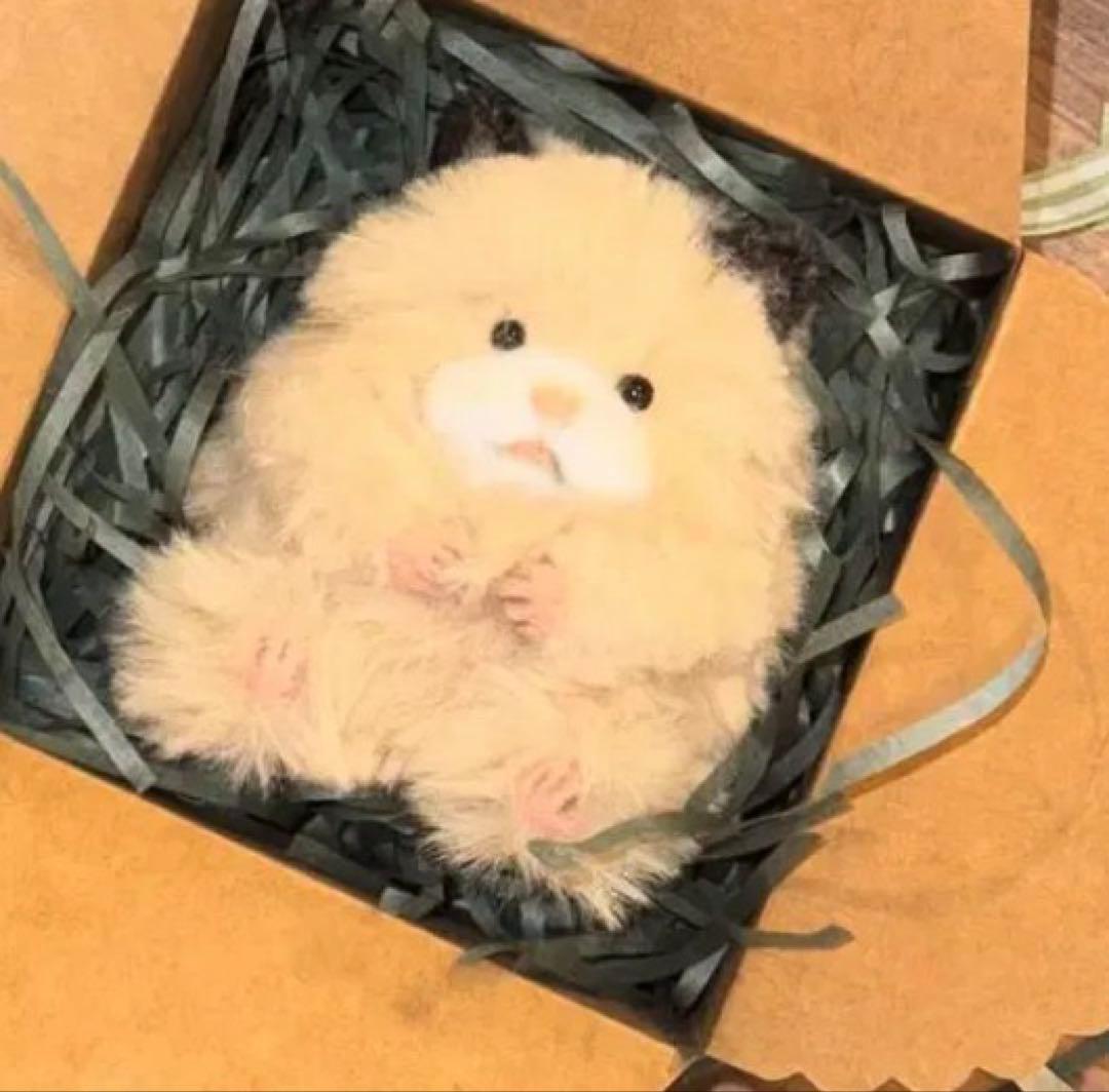韓国　ハンドメイド　ハムスター　激レア
