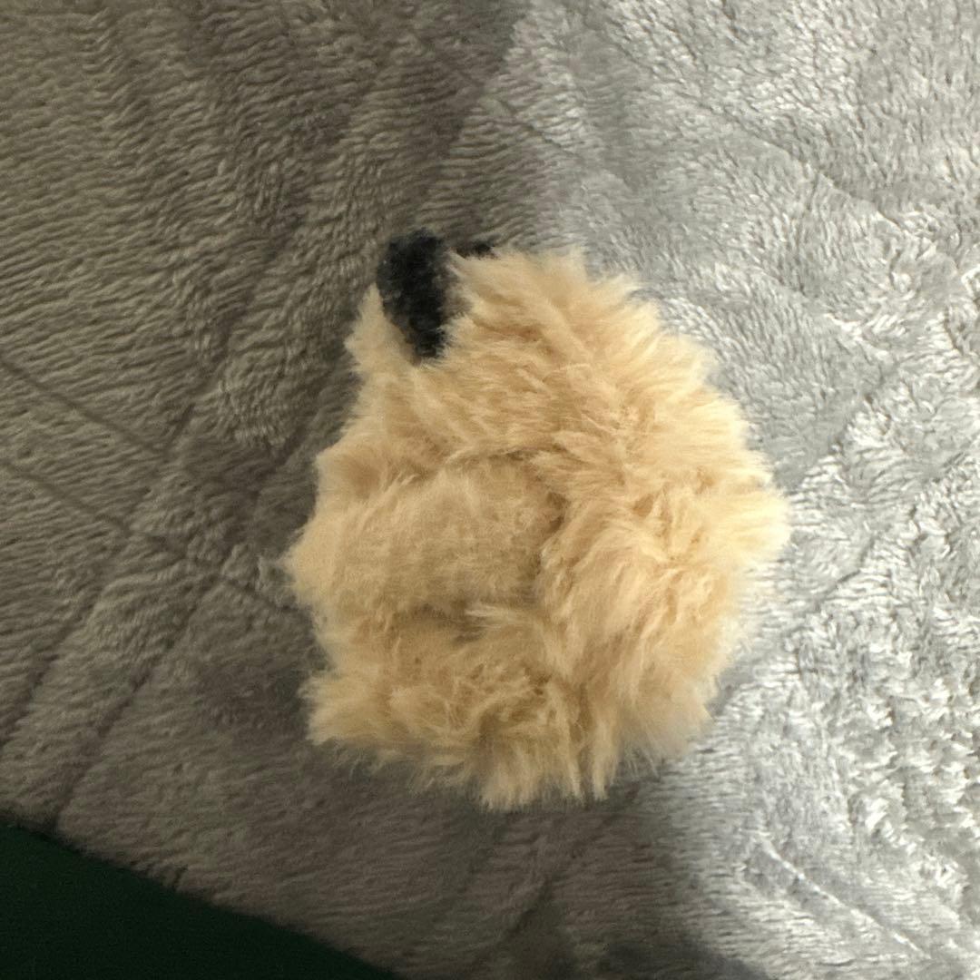 韓国　ハンドメイド　ハムスター　激レア