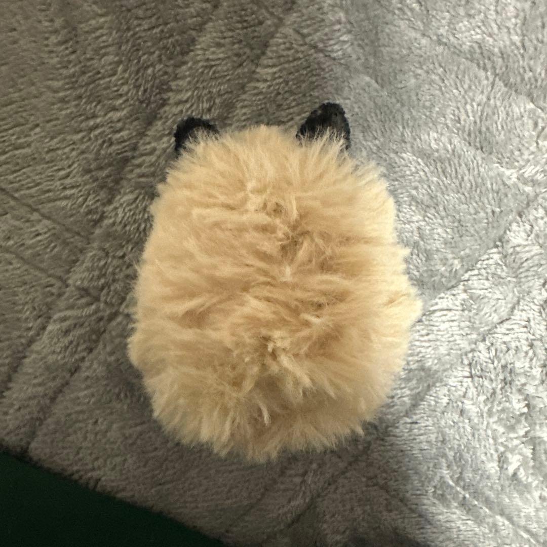 韓国　ハンドメイド　ハムスター　激レア