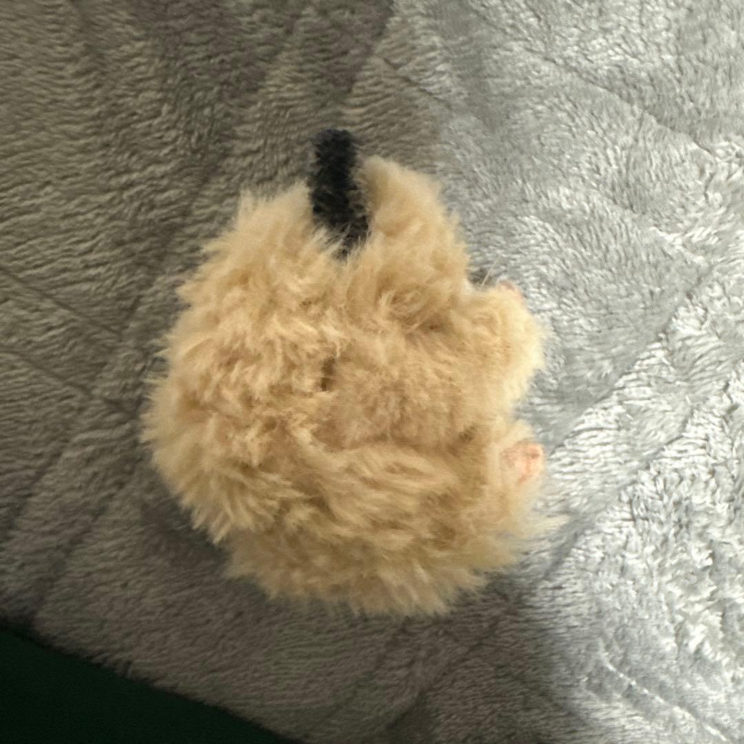 韓国　ハンドメイド　ハムスター　激レア