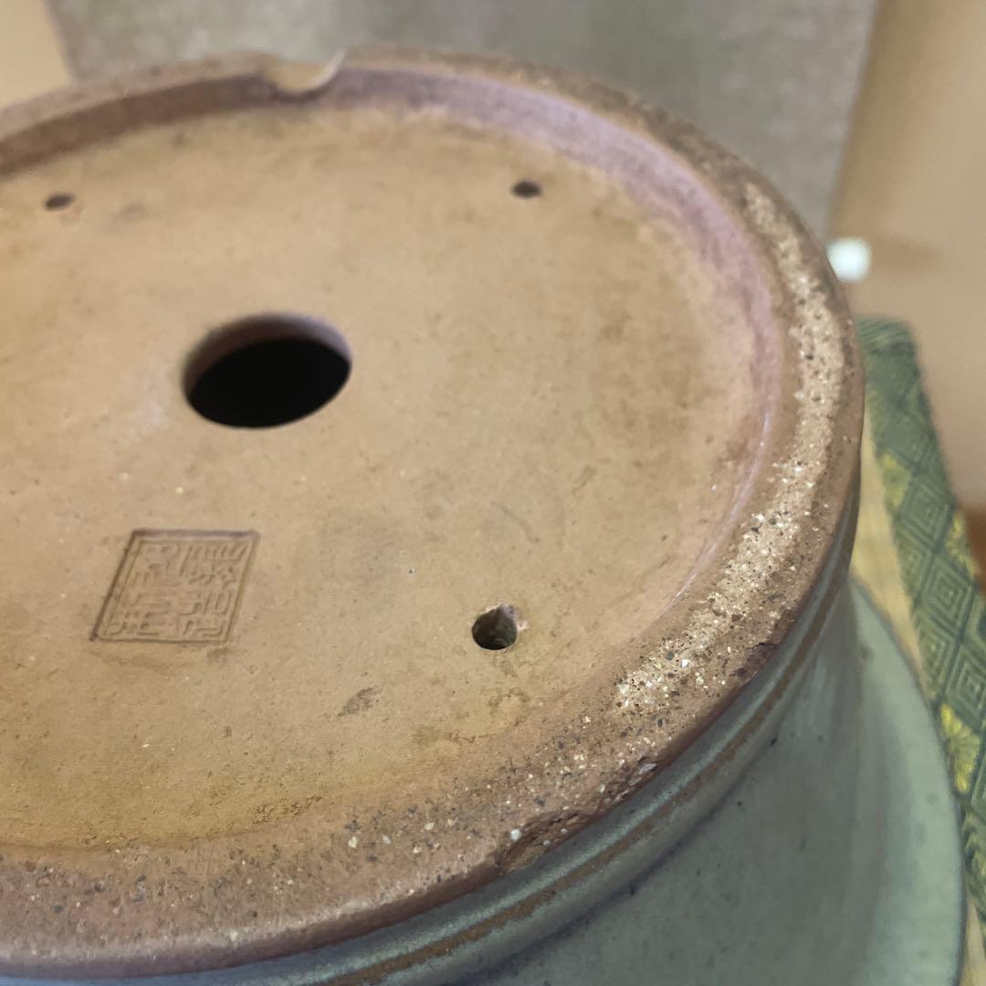 【落款あり】中国宜興 釉薬 丸外縁下帯深鉢 多肉植物 山野草 キンヨー