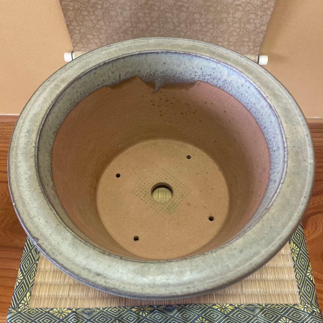 【落款あり】中国宜興 釉薬 丸外縁下帯深鉢 多肉植物 山野草 キンヨー