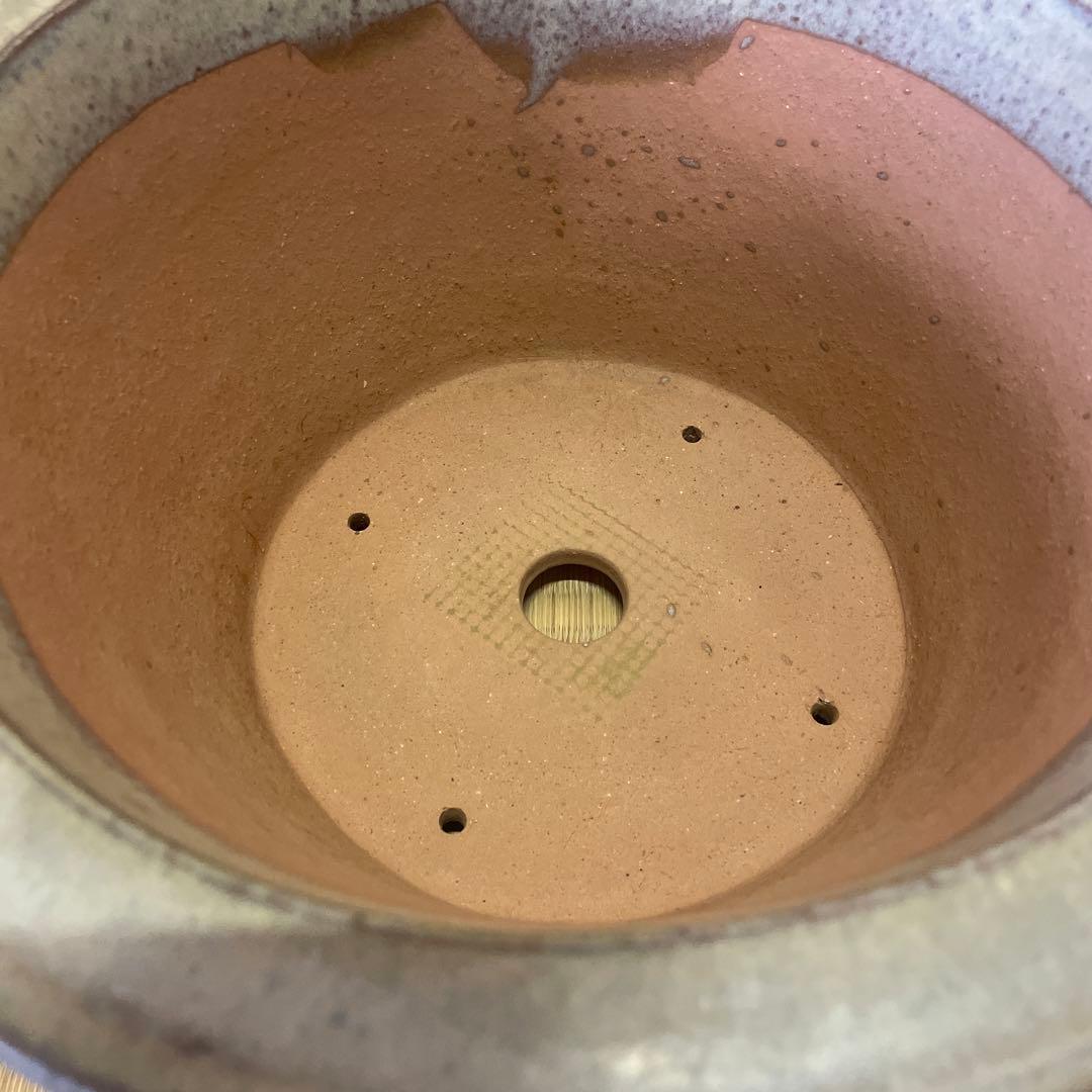 【落款あり】中国宜興 釉薬 丸外縁下帯深鉢 多肉植物 山野草 キンヨー