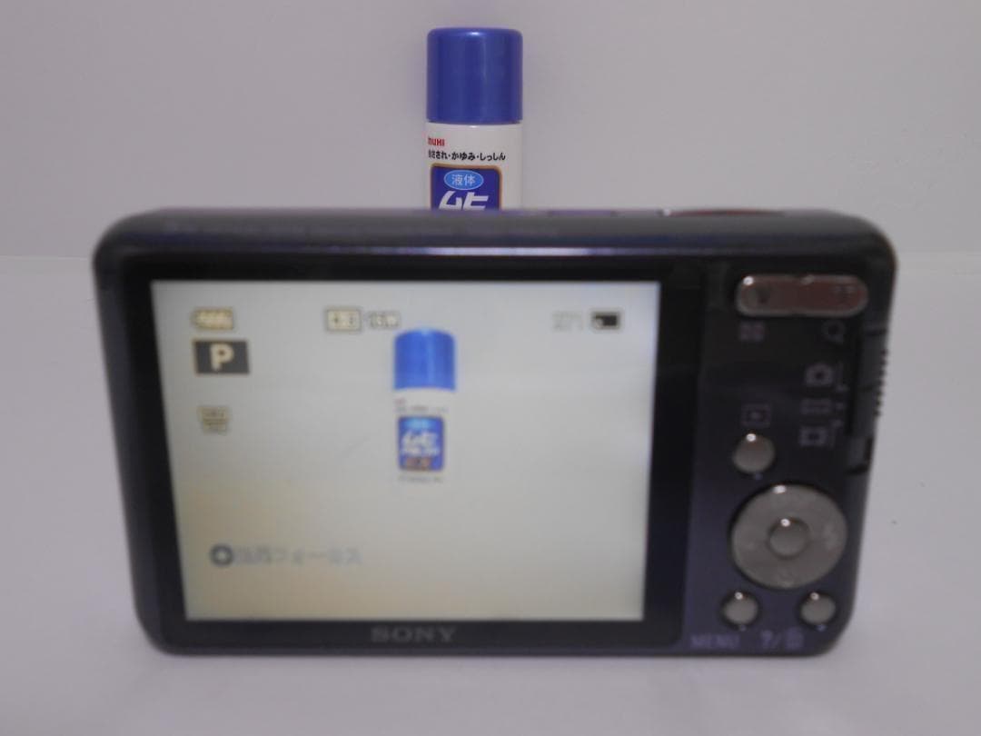 【付属品完備・ケース付き】SONY Cyber-shot DSC-W570