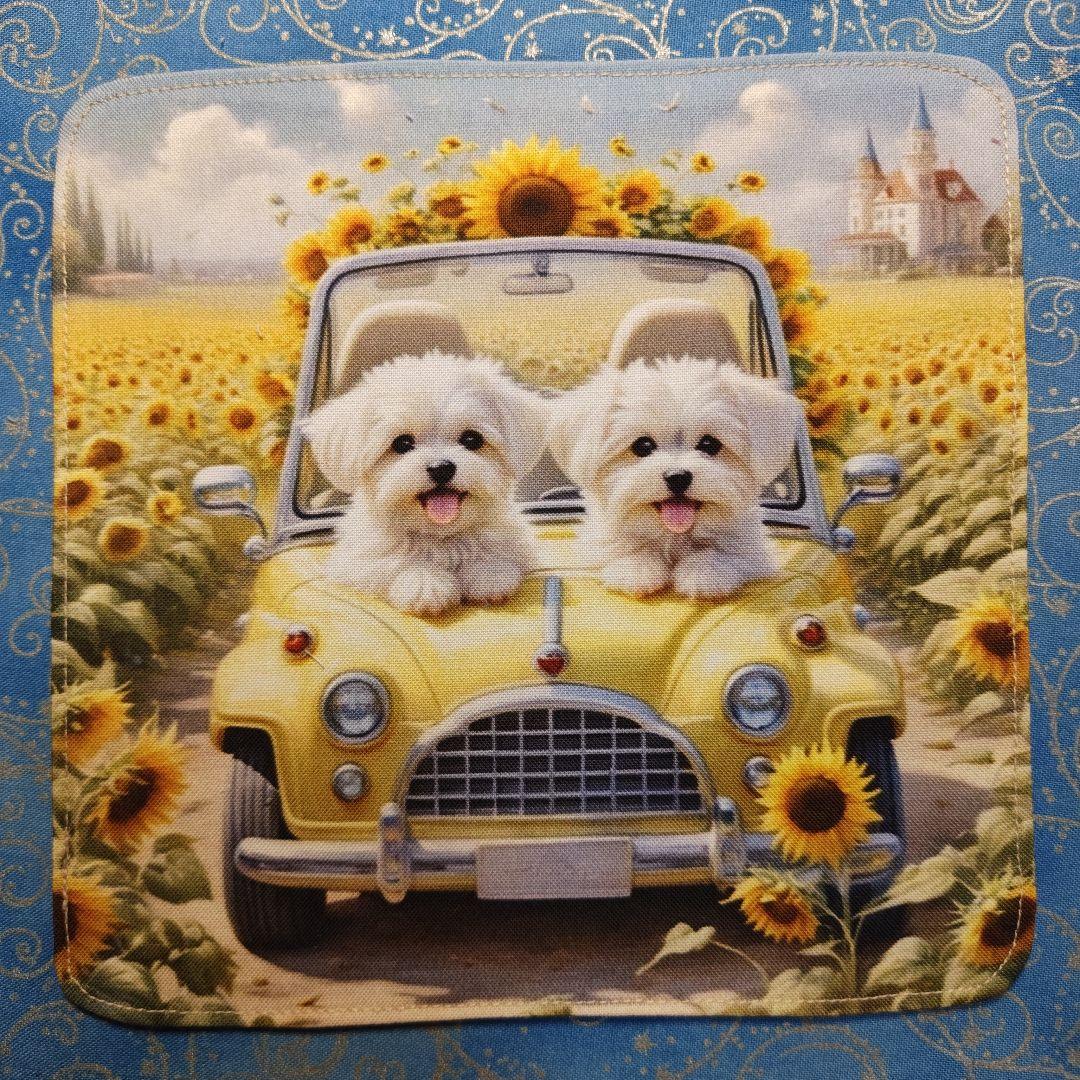 パニャ　ハンカチ　マルチーズ柄　17枚