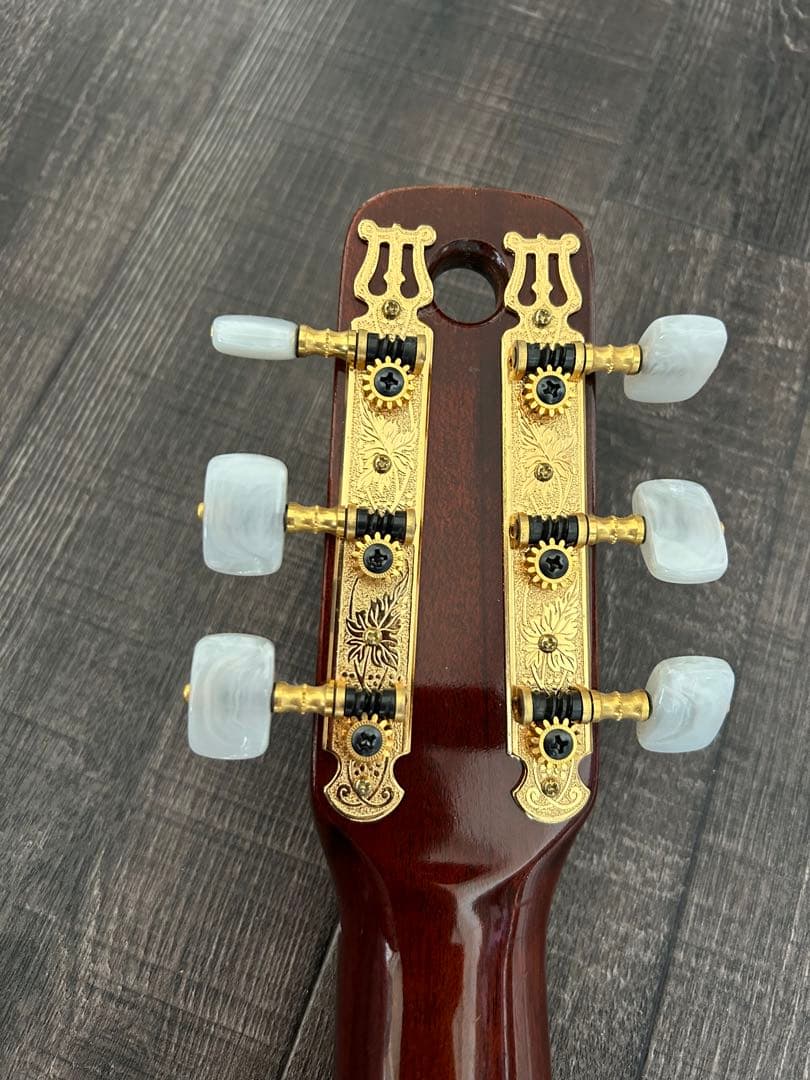 ケーヤイリ レディバード　ミニギター　K.yairi ENJOY PART2