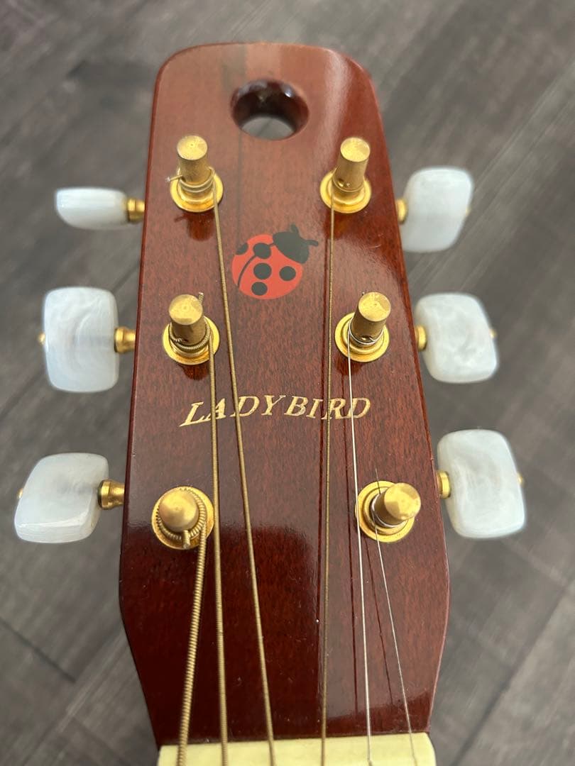 ケーヤイリ レディバード　ミニギター　K.yairi ENJOY PART2