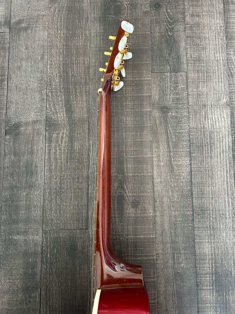 ケーヤイリ レディバード　ミニギター　K.yairi ENJOY PART2