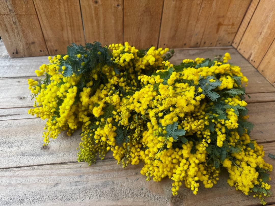 SoRaya1379様 リクエスト 2点 まとめ商品