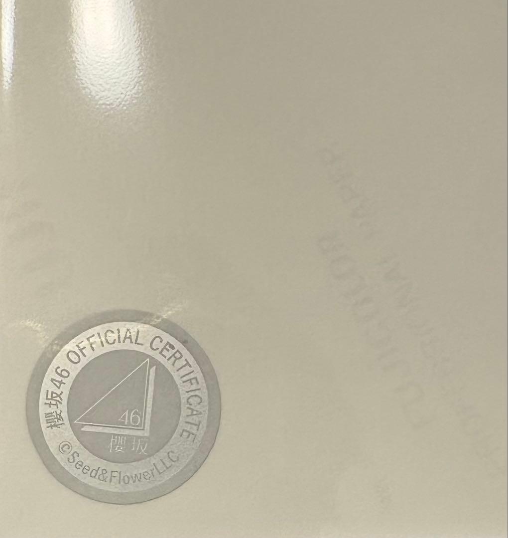 櫻坂46 山﨑天 直筆サイン入り生写真 ヨリ