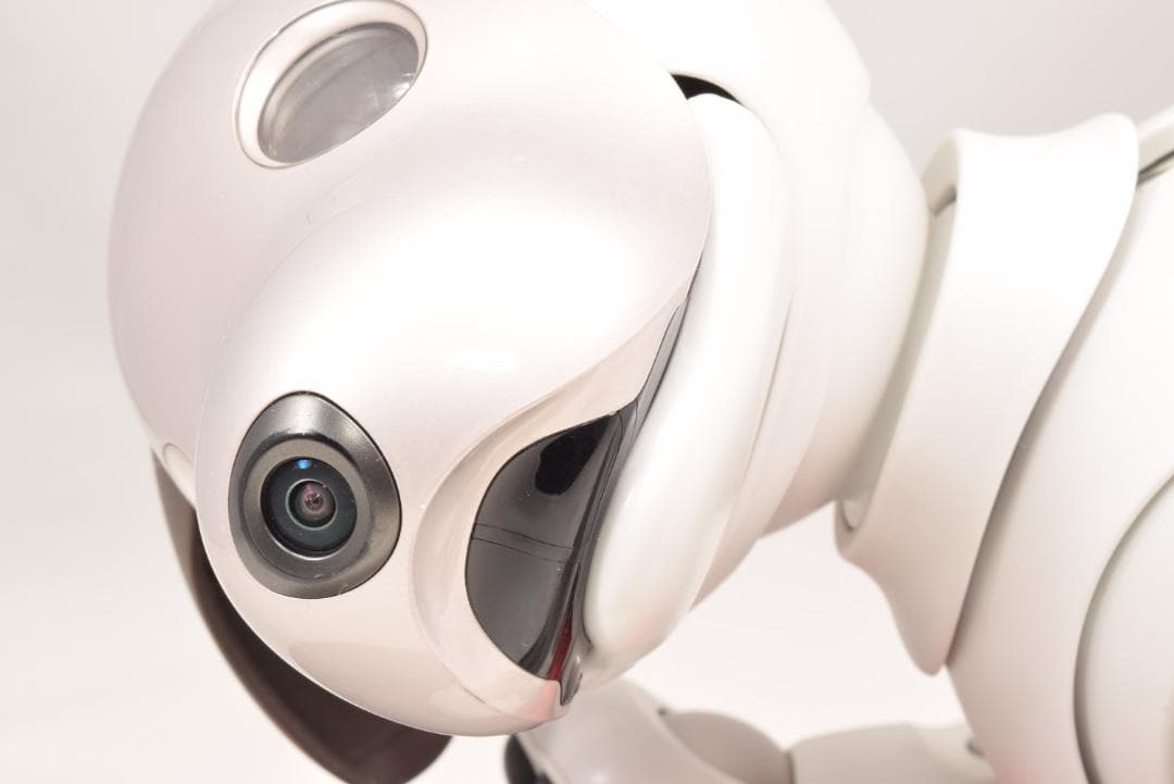 ソニー アイボ ERS-1000 アイボーン ボール AIBO 犬型 SONY