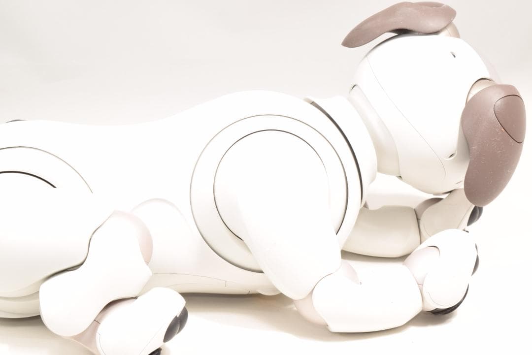 ソニー アイボ ERS-1000 アイボーン ボール AIBO 犬型 SONY