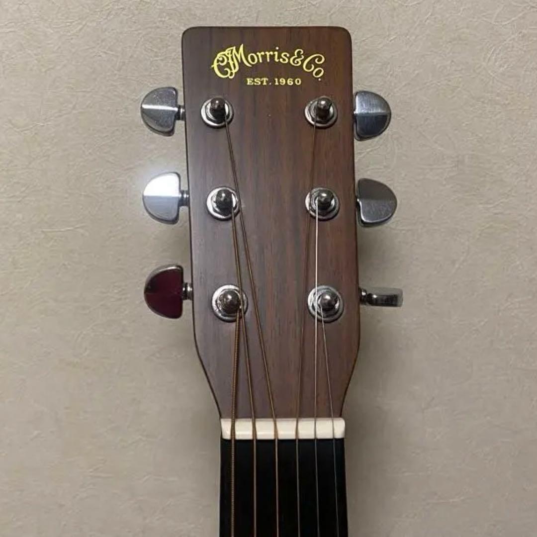 Morris TF-60D Martin D-28 コピー マーチンロゴ