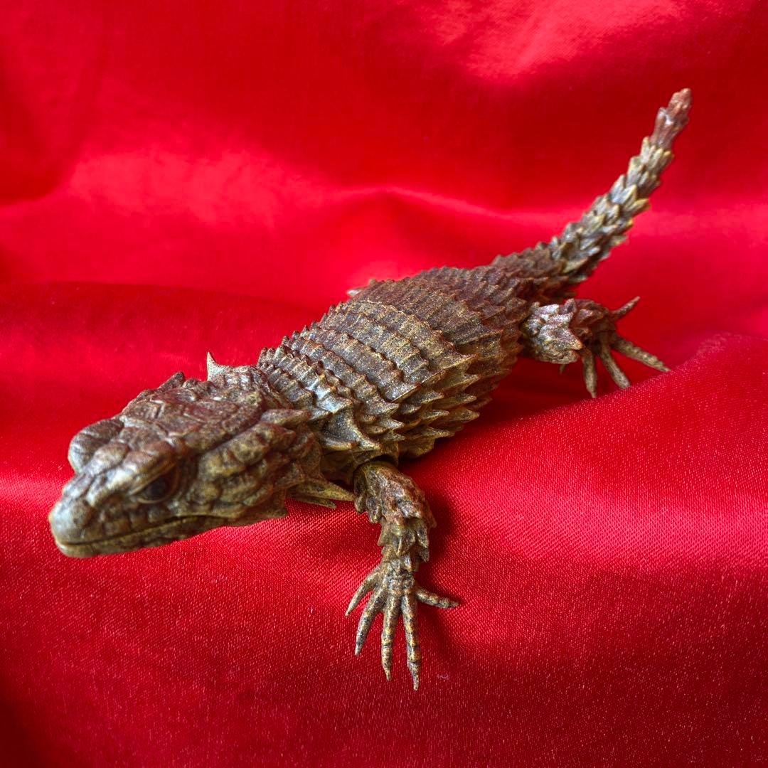 アルマジロトカゲ　リペイント品　ダンゴムシ　バンダイガシャポン