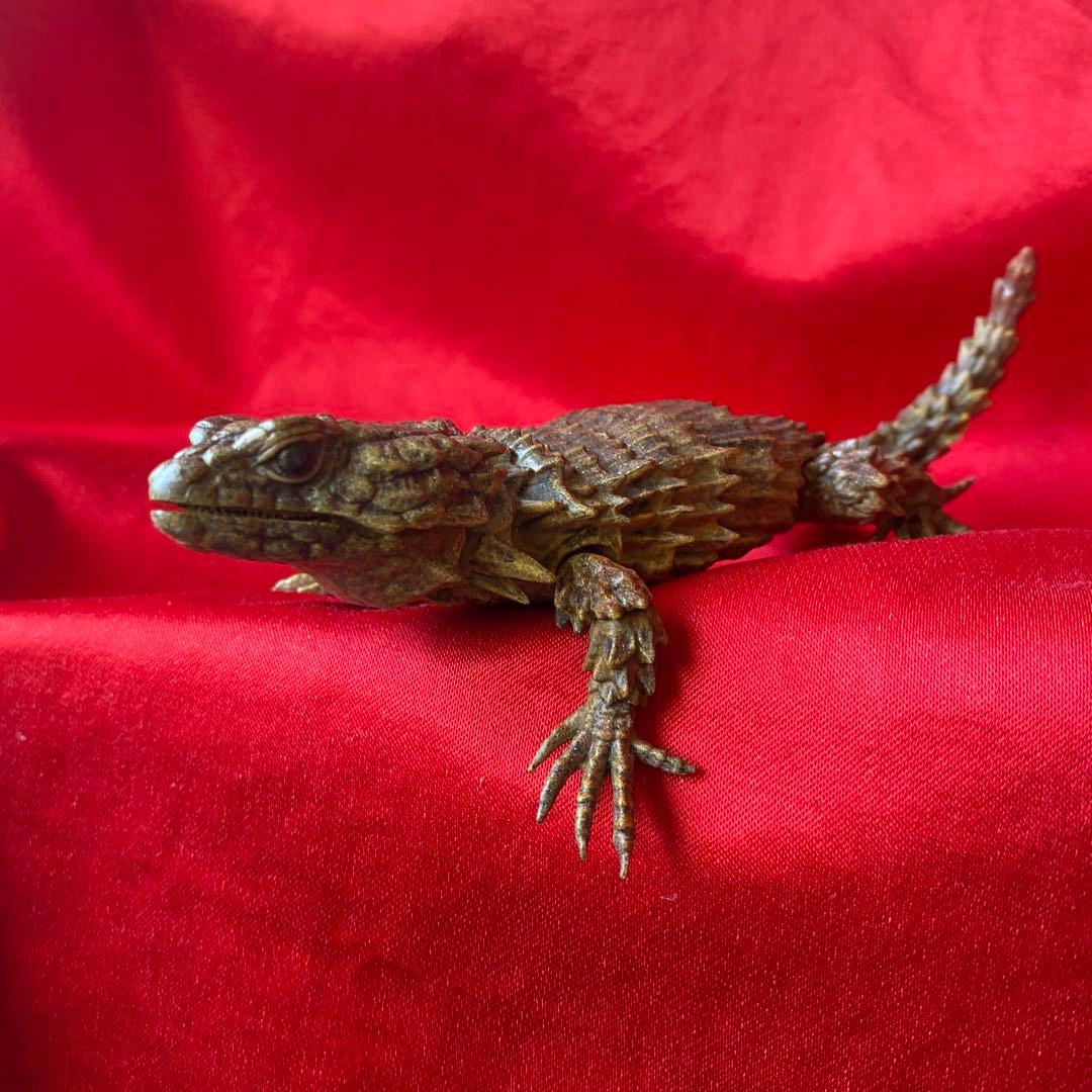 アルマジロトカゲ　リペイント品　ダンゴムシ　バンダイガシャポン