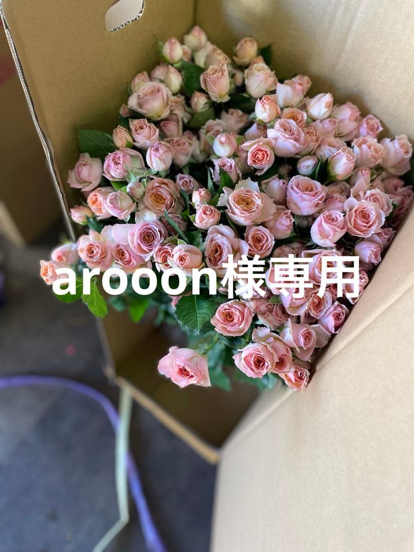 arooon　スプレーバラミスティックサラ10本ブプレリウム10本