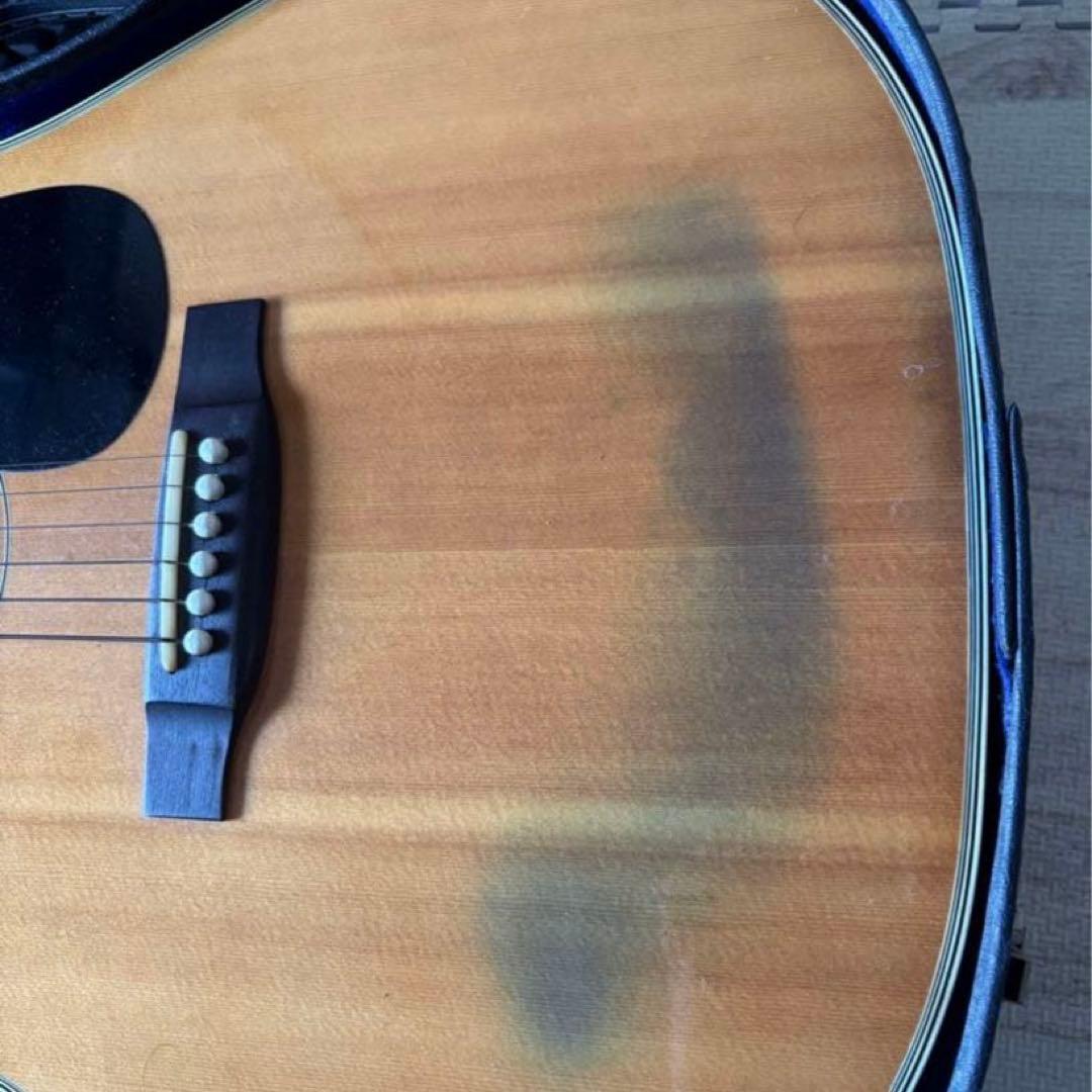 Tokai CF-180 ジャパンヴィンテージ アコギ Cat's Eyes