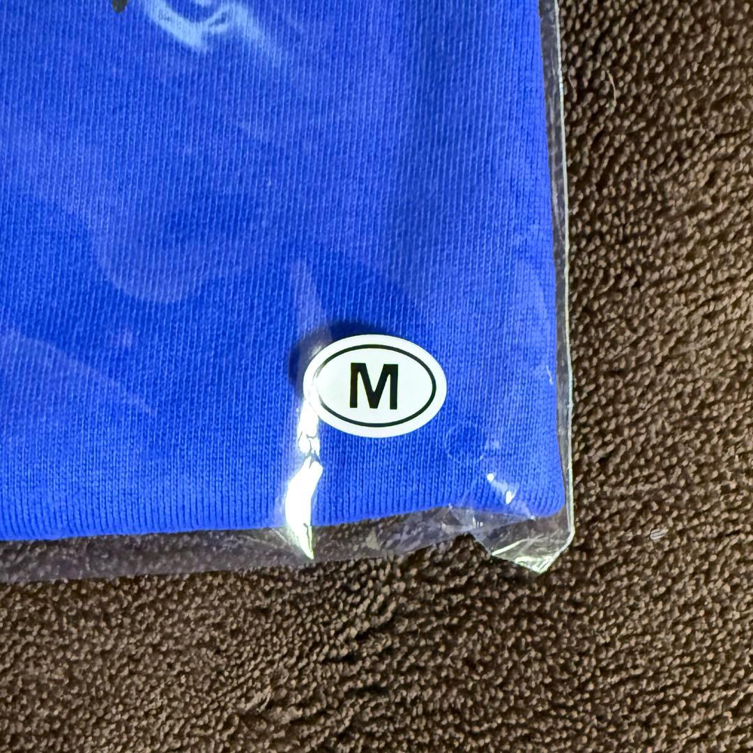 Hi-STANDARD SNB ツアー TシャツMサイズ ハイスタ