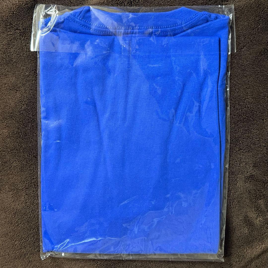 Hi-STANDARD SNB ツアー TシャツMサイズ ハイスタ