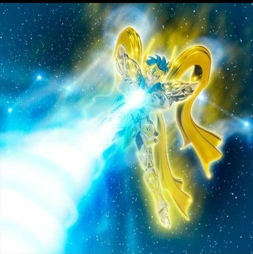 ✨新品未開封品✨アクエリアス カミュ✨神聖衣✨聖闘士聖衣神話EX✨バンダイ✨