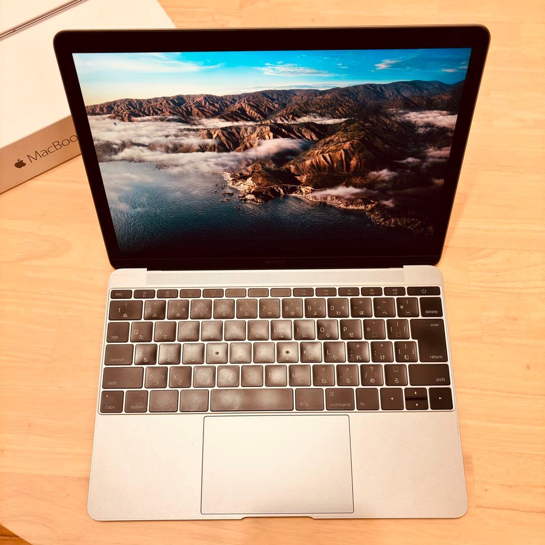 （充電回数:121回）Apple MacBook 12インチ MJY32J/A
