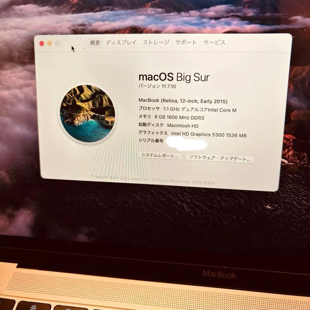 （充電回数:121回）Apple MacBook 12インチ MJY32J/A
