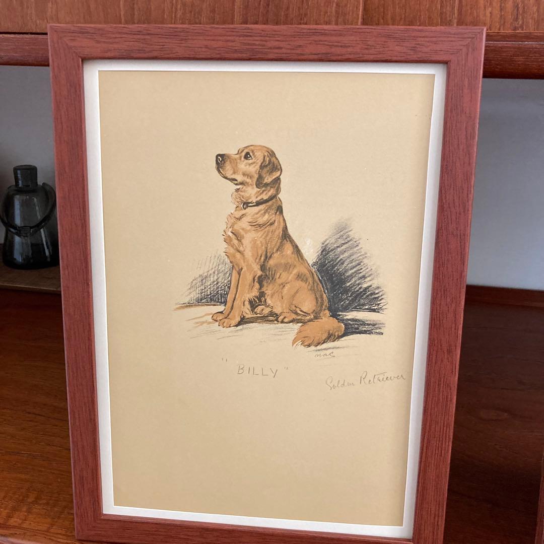 aiさん専用: ゴールデンレトリバーとお馬さん