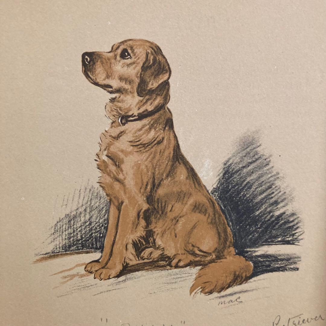 aiさん専用: ゴールデンレトリバーとお馬さん