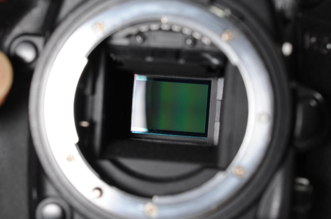 NIKON D7200 AF-S DX 18-140 ED VR レンズキット