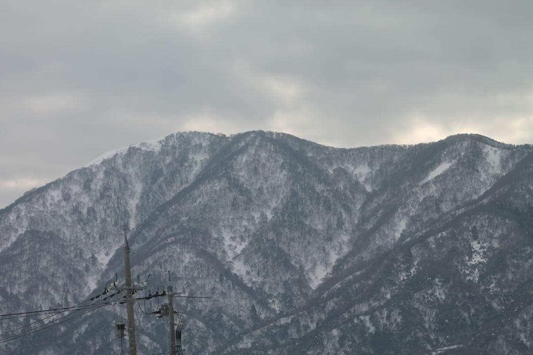 超望遠レンズデビュー✨Canon Kiss X50✨シングルレンズ✨スポーツ観戦