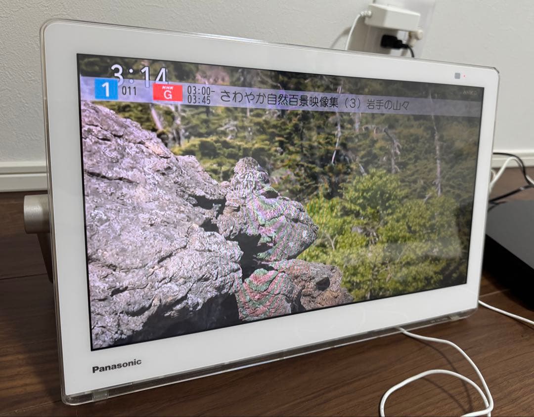 PanasonicプライベートビエラUN-15CTD8-W