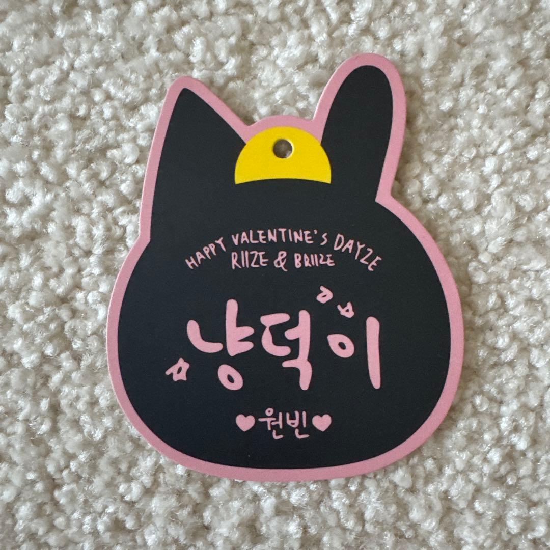 RIIZE ウォンビン トニャンドク キーホルダー