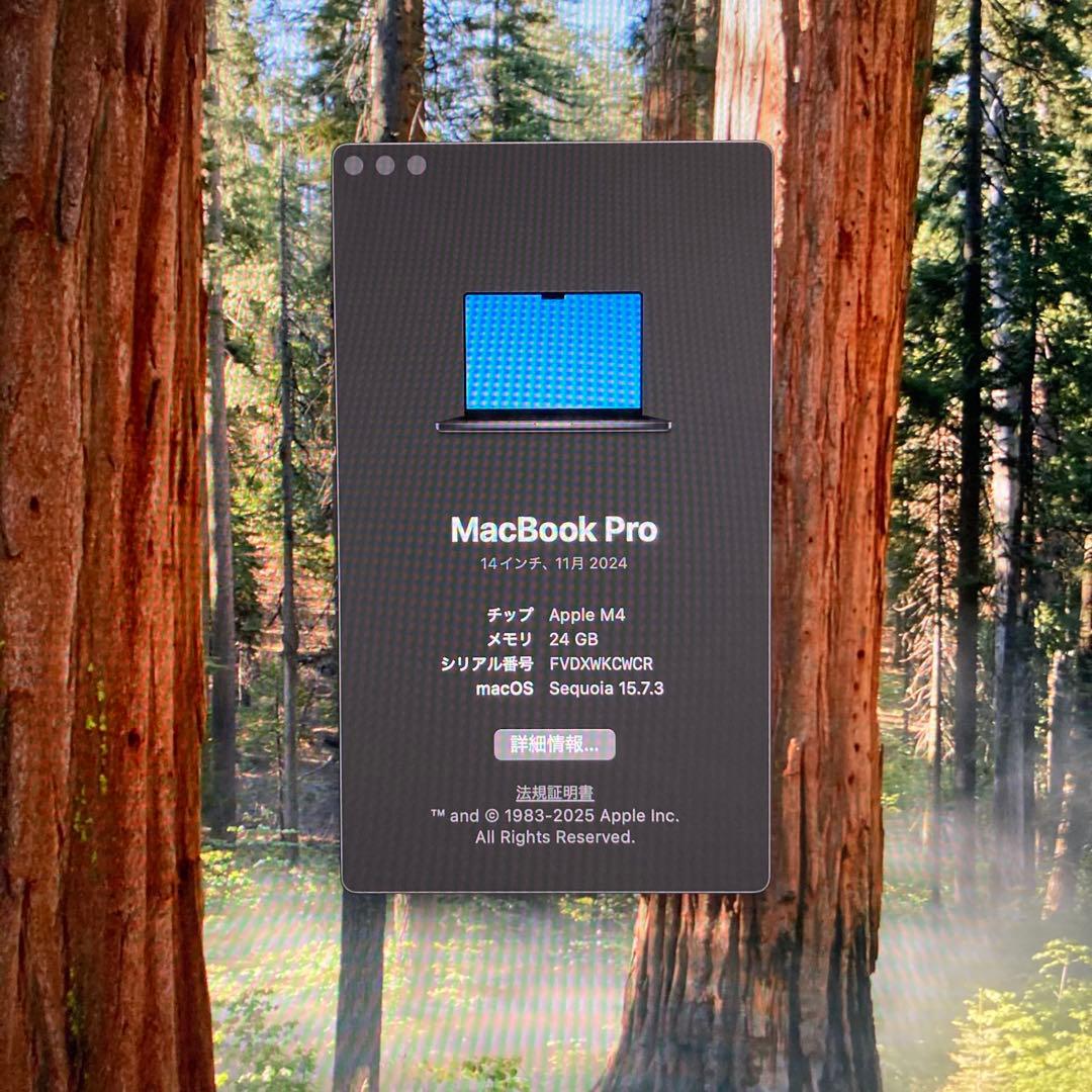 【美品・保証あり】MacBook Pro 14インチ M4 24GB 1TB