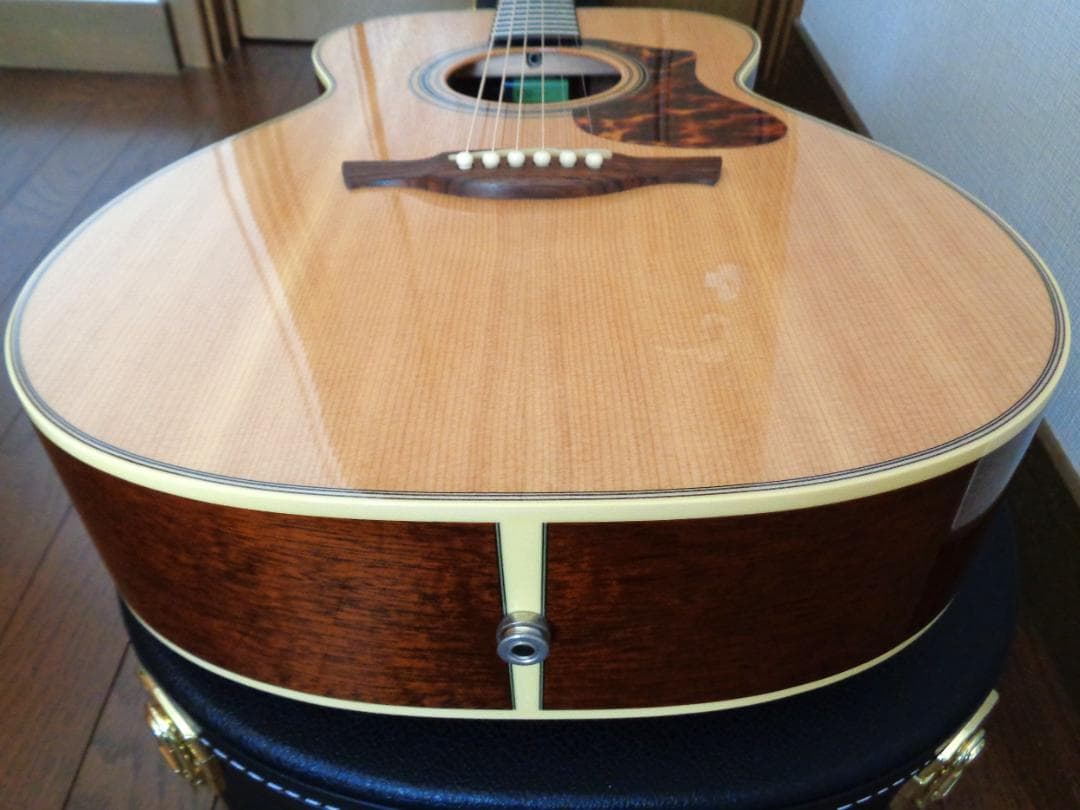 HISTORY NT-S4　オール単板　日本製　美品！　エレアコ　ハードケース付