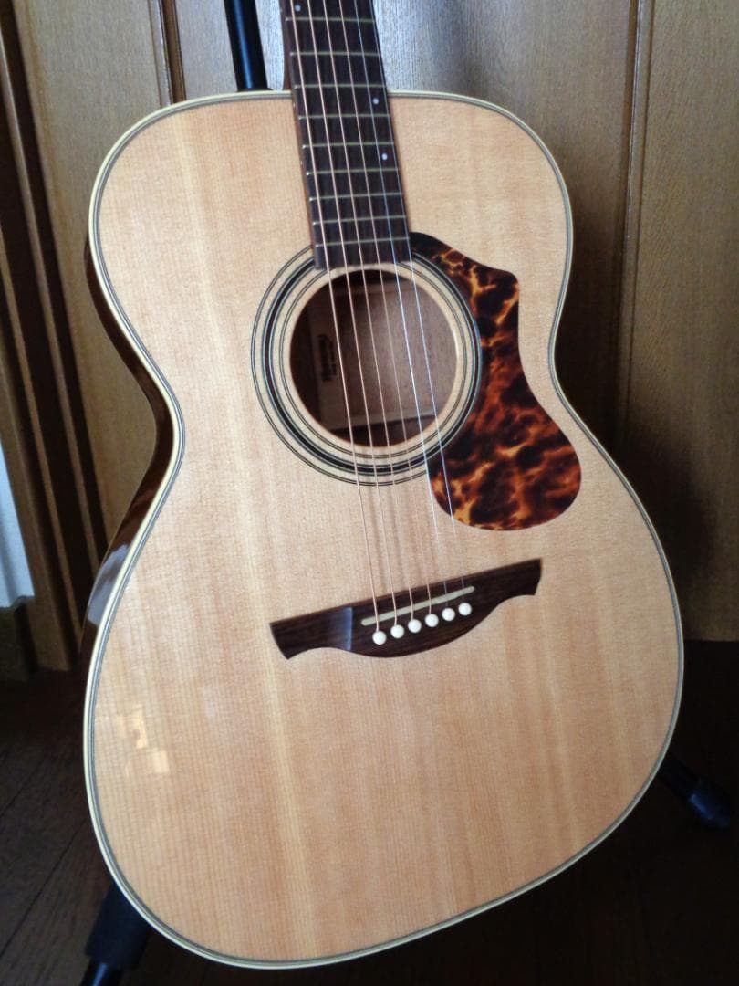 HISTORY NT-S4　オール単板　日本製　美品！　エレアコ　ハードケース付