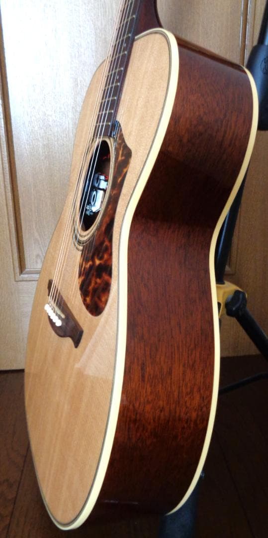 HISTORY NT-S4　オール単板　日本製　美品！　エレアコ　ハードケース付