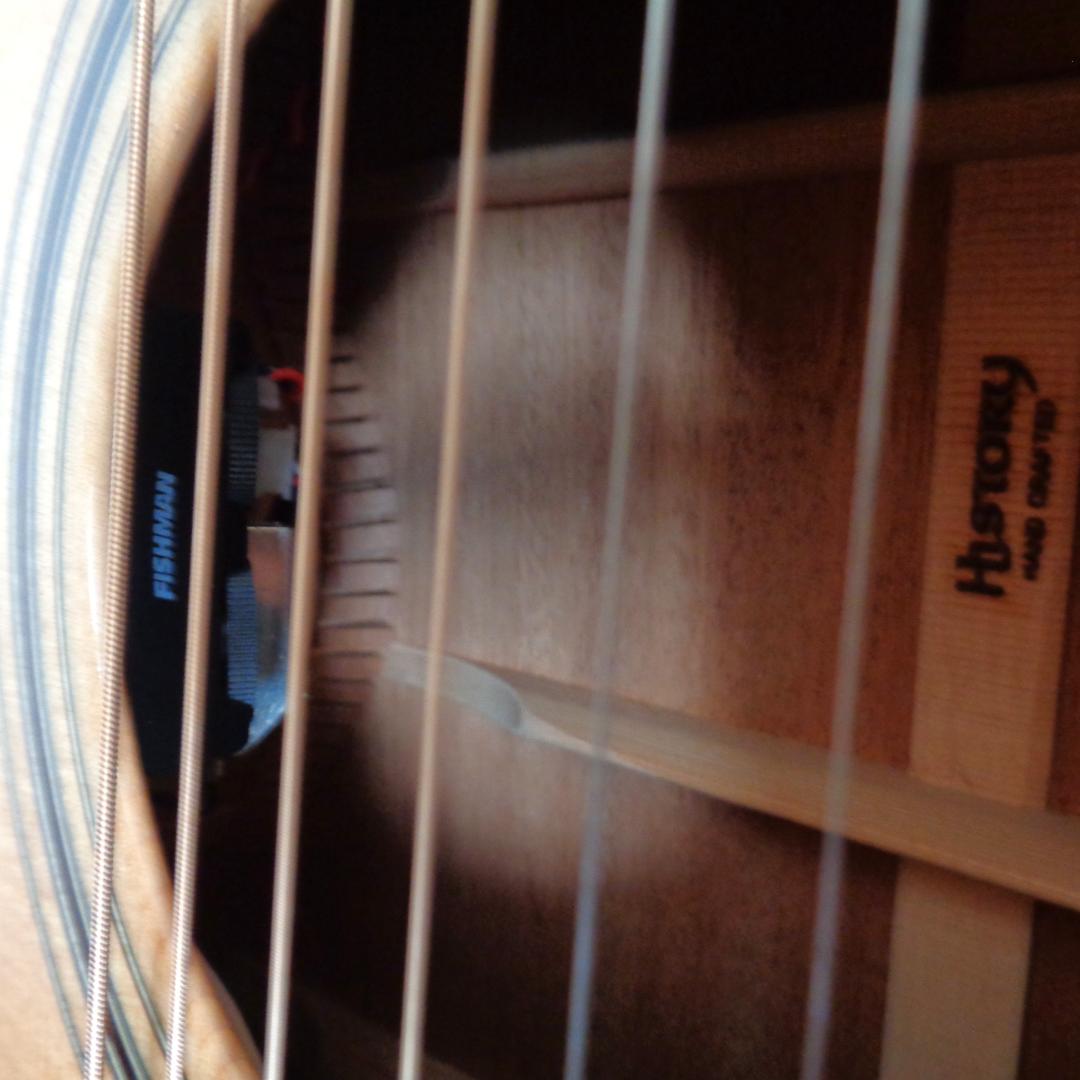 HISTORY NT-S4　オール単板　日本製　美品！　エレアコ　ハードケース付