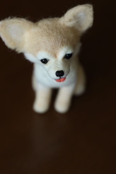 羊毛フェルト　ロングコートチワワ(柴犬カット)