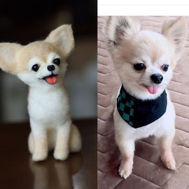 羊毛フェルト　ロングコートチワワ(柴犬カット)