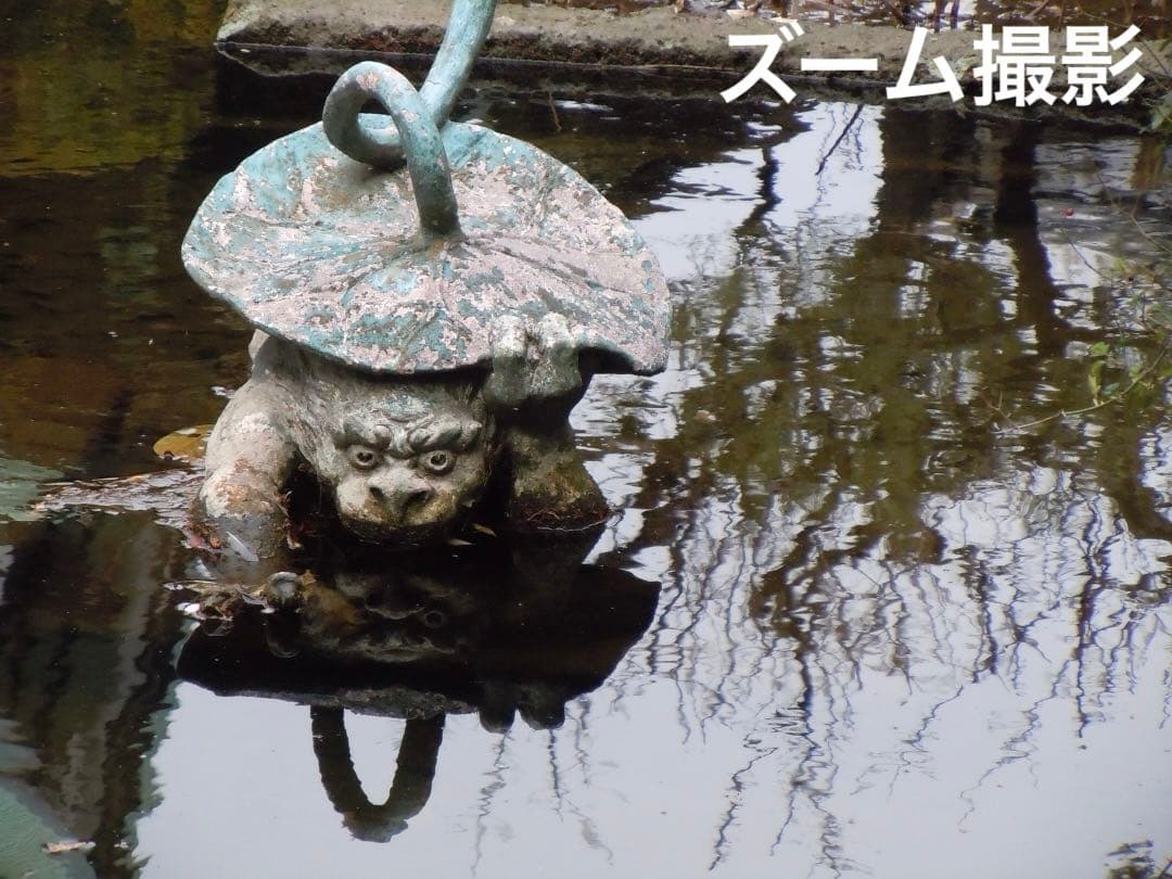 実写美⭕️訳あり【動作確認済】Nikon COOLPIX S8000 ブラック