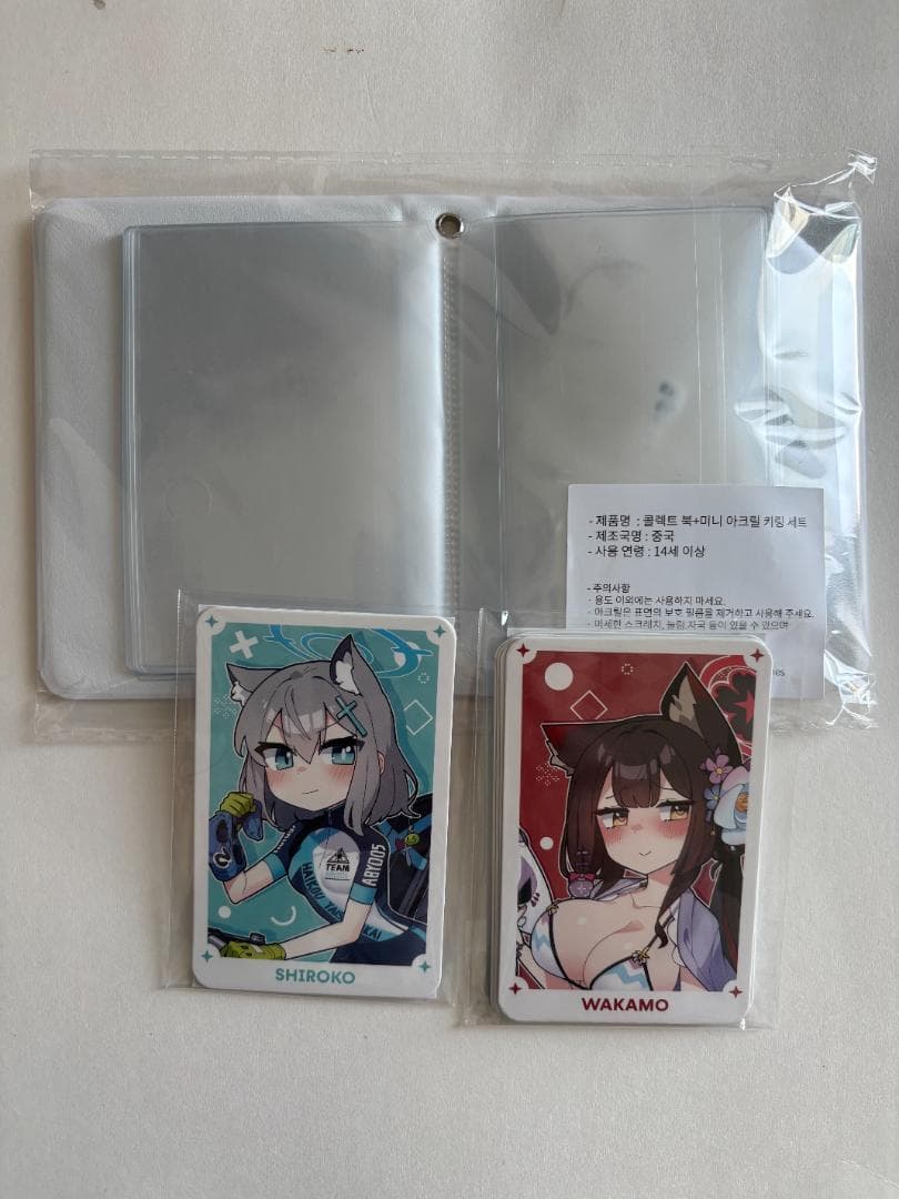 ブルーアーカイブ 韓国版4コマ漫画 青春？日常！韓国限定DONMINI 特装版